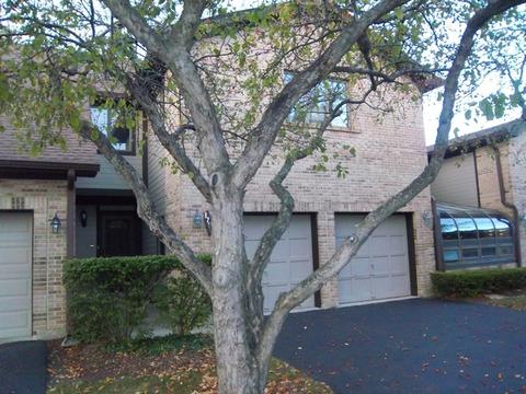1785 Monterey Ct, Hoffman Estates, IL 60169 photo 47