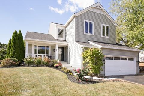 2 Falcon Ridge Ct, Algonquin, IL 60102 photo 1