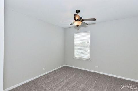 238 Gregory M Sears Dr, Gilberts, IL 60136 photo 23