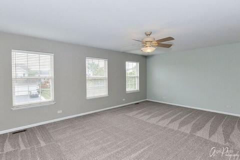 238 Gregory M Sears Dr, Gilberts, IL 60136 photo 26