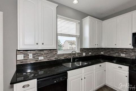238 Gregory M Sears Dr, Gilberts, IL 60136 photo 16