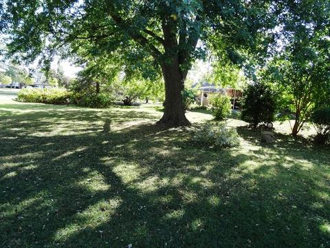 305 E James St, Dwight, IL 60420 photo 14