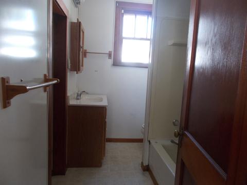 322 E 2nd St, Spring Valley, IL 61362 photo 8