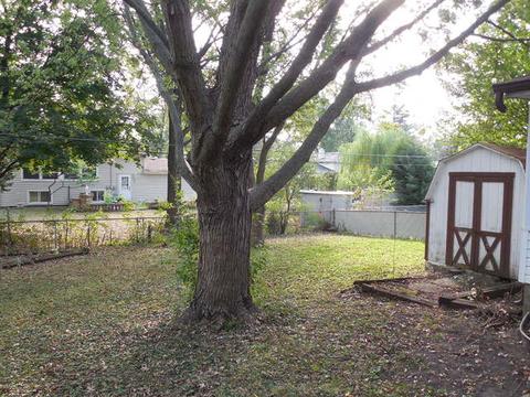 313 N Wesley Dr, Addison, IL 60101 photo 6