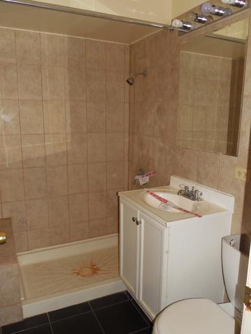 313 N Wesley Dr, Addison, IL 60101 photo 14