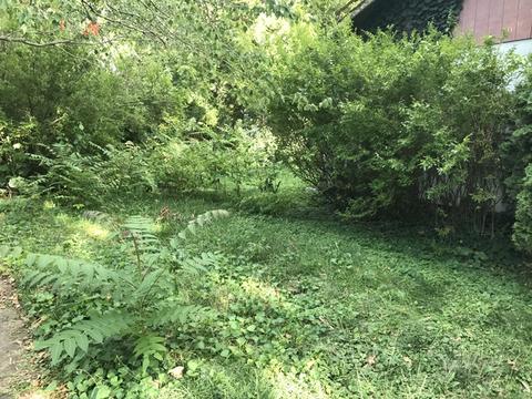 504 E Maple St, Ogden, IL 61859 photo 1