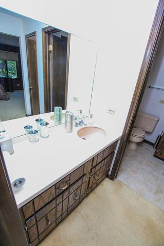 20900 Sparta Ln, Olympia Fields, IL 60461 photo 14
