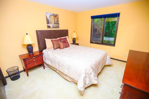 20900 Sparta Ln, Olympia Fields, IL 60461 photo 19