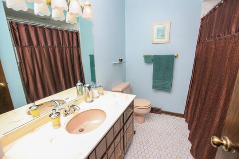 20900 Sparta Ln, Olympia Fields, IL 60461 photo 20