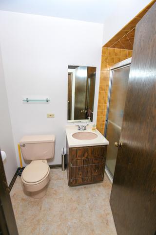 20900 Sparta Ln, Olympia Fields, IL 60461 photo 15