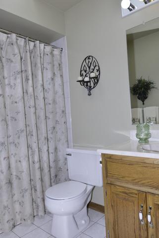 500 E Walnut St, Peotone, IL 60468 photo 23