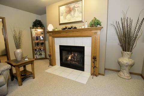 500 E Walnut St, Peotone, IL 60468 photo 12