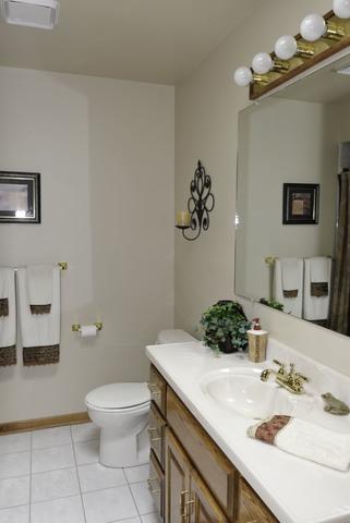 500 E Walnut St, Peotone, IL 60468 photo 19