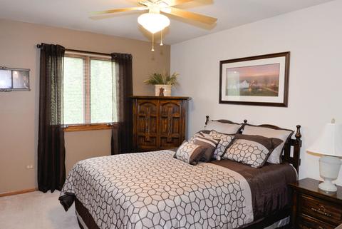 500 E Walnut St, Peotone, IL 60468 photo 22