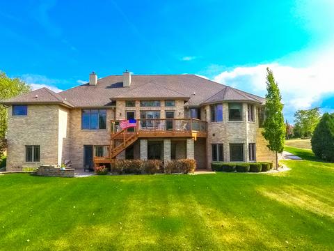 25654 S Bristol Ln, Monee, IL 60449 photo 3