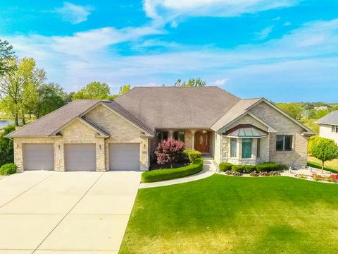 25654 S Bristol Ln, Monee, IL 60449 photo 1