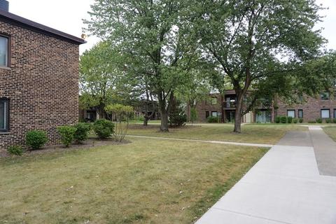 1175 Pleasant Run Dr #409, Wheeling, IL 60090 photo 17