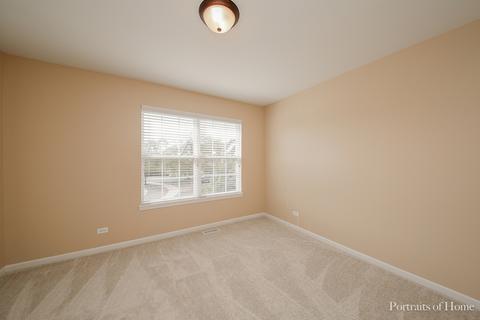11907 Holly Ct, Plainfield, IL 60585 photo 19