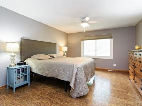 78 E Pepper Tree Dr, Palatine, IL 60067 photo 12