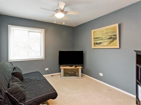 78 E Pepper Tree Dr, Palatine, IL 60067 photo 16