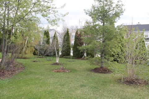 3 Montclair Ct, Cary, IL 60013 photo 26