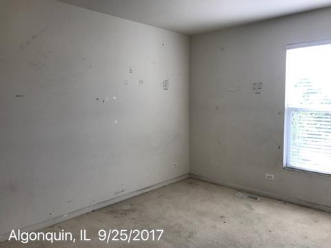 3 Marigold Ln, Algonquin, IL 60102 photo 11