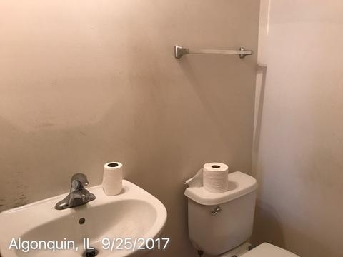 3 Marigold Ln, Algonquin, IL 60102 photo 7