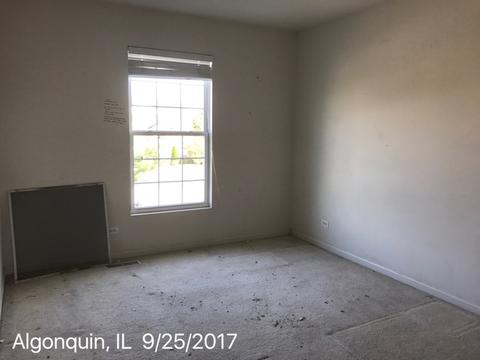 3 Marigold Ln, Algonquin, IL 60102 photo 12