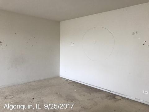 3 Marigold Ln, Algonquin, IL 60102 photo 8