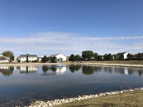 28907 Bakers Dr, Lakemoor, IL 60051 photo 20