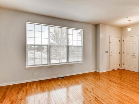 326 S Prospect Ave, Bartlett, IL 60103 photo 8