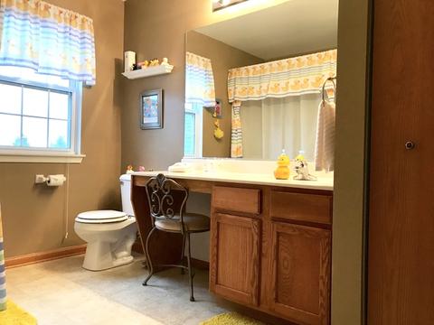 629 Brita Ct, Minooka, IL 60447 photo 9