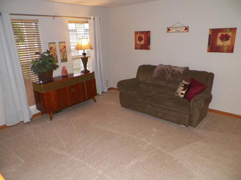 629 Brita Ct, Minooka, IL 60447 photo 6