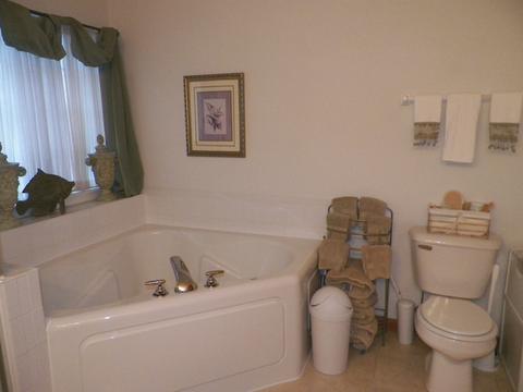 629 Brita Ct, Minooka, IL 60447 photo 19
