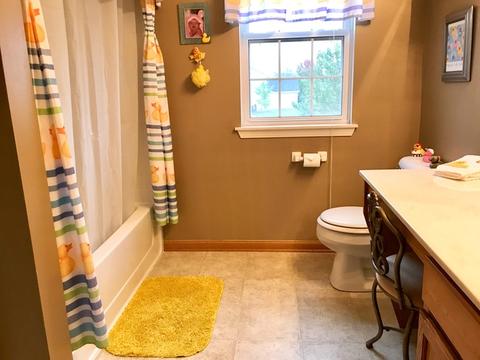 629 Brita Ct, Minooka, IL 60447 photo 10