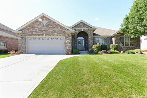 1074 Cherry Ln, Beecher, IL 60401 photo 1