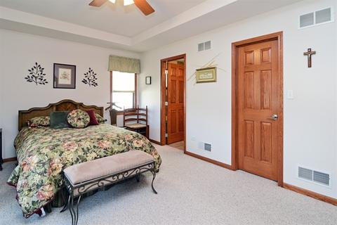 1074 Cherry Ln, Beecher, IL 60401 photo 11