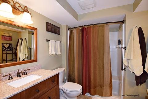 273 Garden Dr, Elgin, IL 60124 photo 27