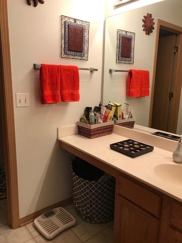 14052 Edgewater Dr, Plainfield, IL 60544 photo 9