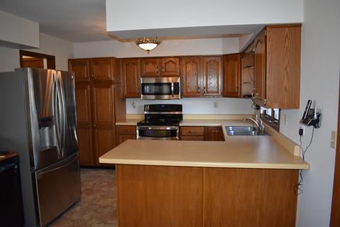 1314 Eldamain Rd, Plano, IL 60545 photo 4