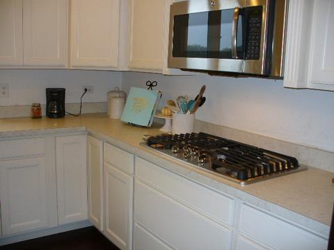 4372 John Milton Rd, Elgin, IL 60124 photo 3