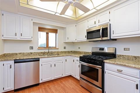 545 S River Rd #608, Des Plaines, IL 60016 photo 8