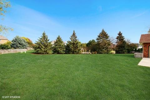 13148 Thelma Cir, Plainfield, IL 60585 photo 22