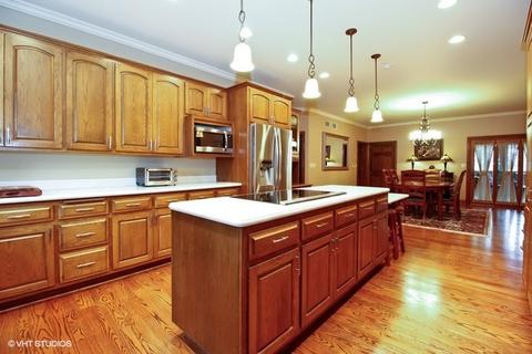 13148 Thelma Cir, Plainfield, IL 60585 photo 5