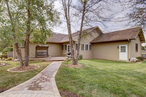 13148 Thelma Cir, Plainfield, IL 60585 photo 20
