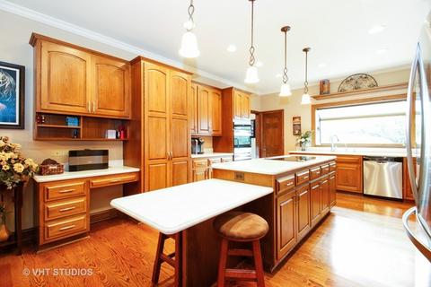 13148 Thelma Cir, Plainfield, IL 60585 photo 6