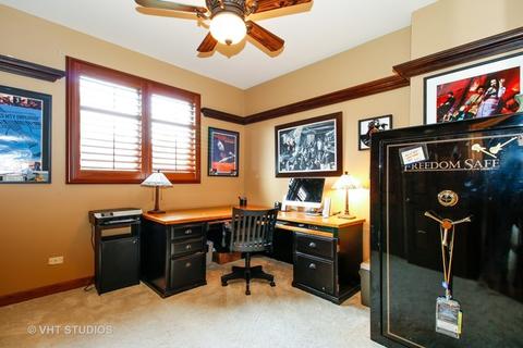 13148 Thelma Cir, Plainfield, IL 60585 photo 14