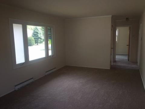 8215 45th St, Lyons, IL 60534 photo 4