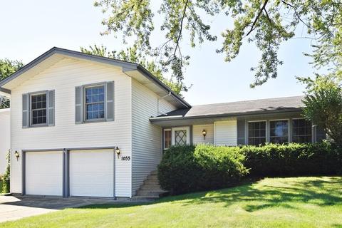 1055 Lancaster Ct, Hoffman Estates, IL 60169 photo 1