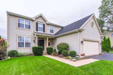 469 Nuthatch Way, Lindenhurst, IL 60046 photo 8